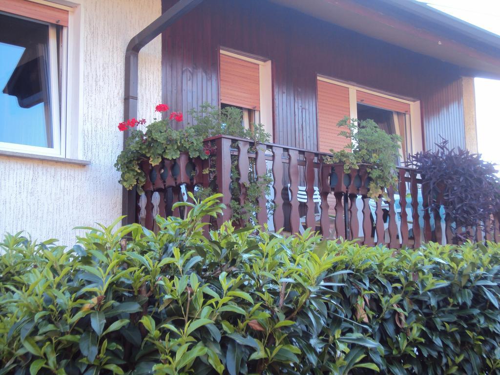 Apartment Maruska Tolmin Εξωτερικό φωτογραφία