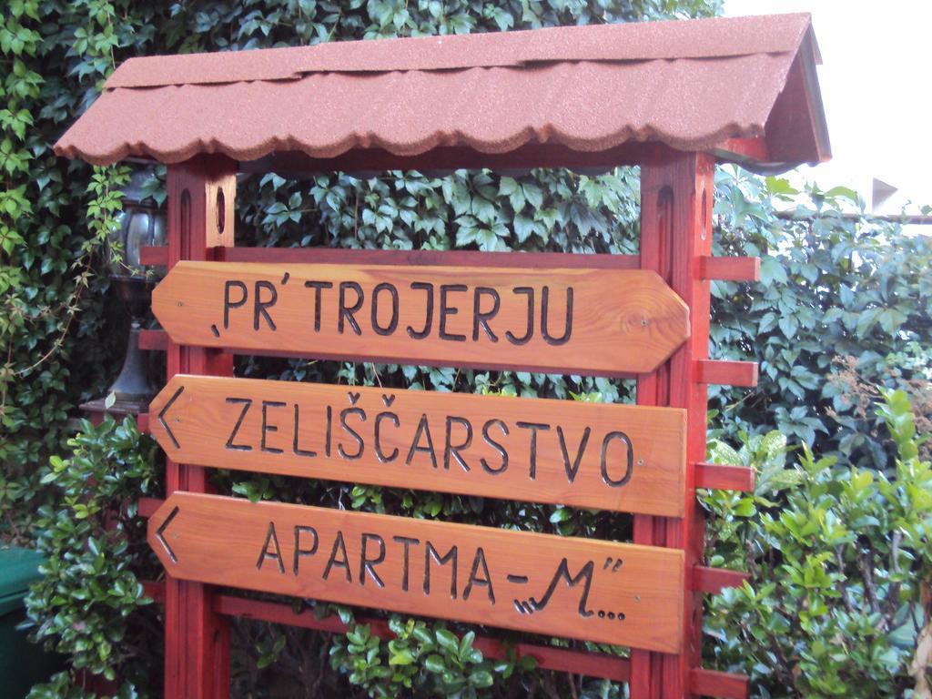 Apartment Maruska Tolmin Εξωτερικό φωτογραφία
